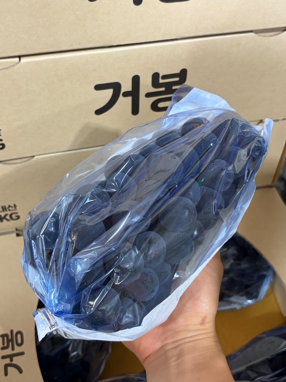 고당도 김천 거봉